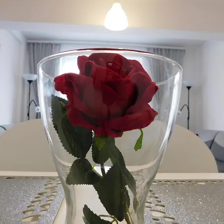 Apartmán Niko